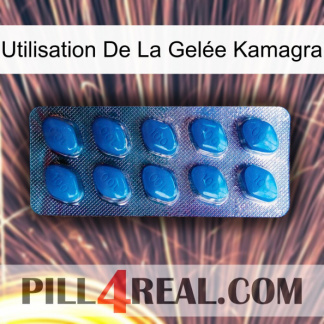 Utilisation De La Gelée Kamagra viagra1